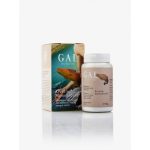 GAL Kreatin-Monohidrát 3 g x 30 adag 90 g
